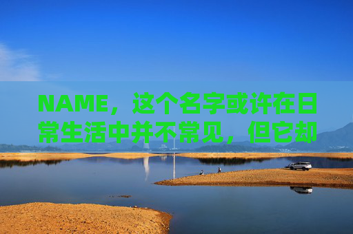 NAME，这个名字或许在日常生活中并不常见，但它却在某些领域里扮演着重要的角色。今天，让我们一起来探索这个名字背后的故事和意义